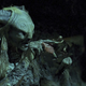 Image for article titled 13 Live-Action Fairytale Movies That Miraculously Don’t Suck Fairy Balls